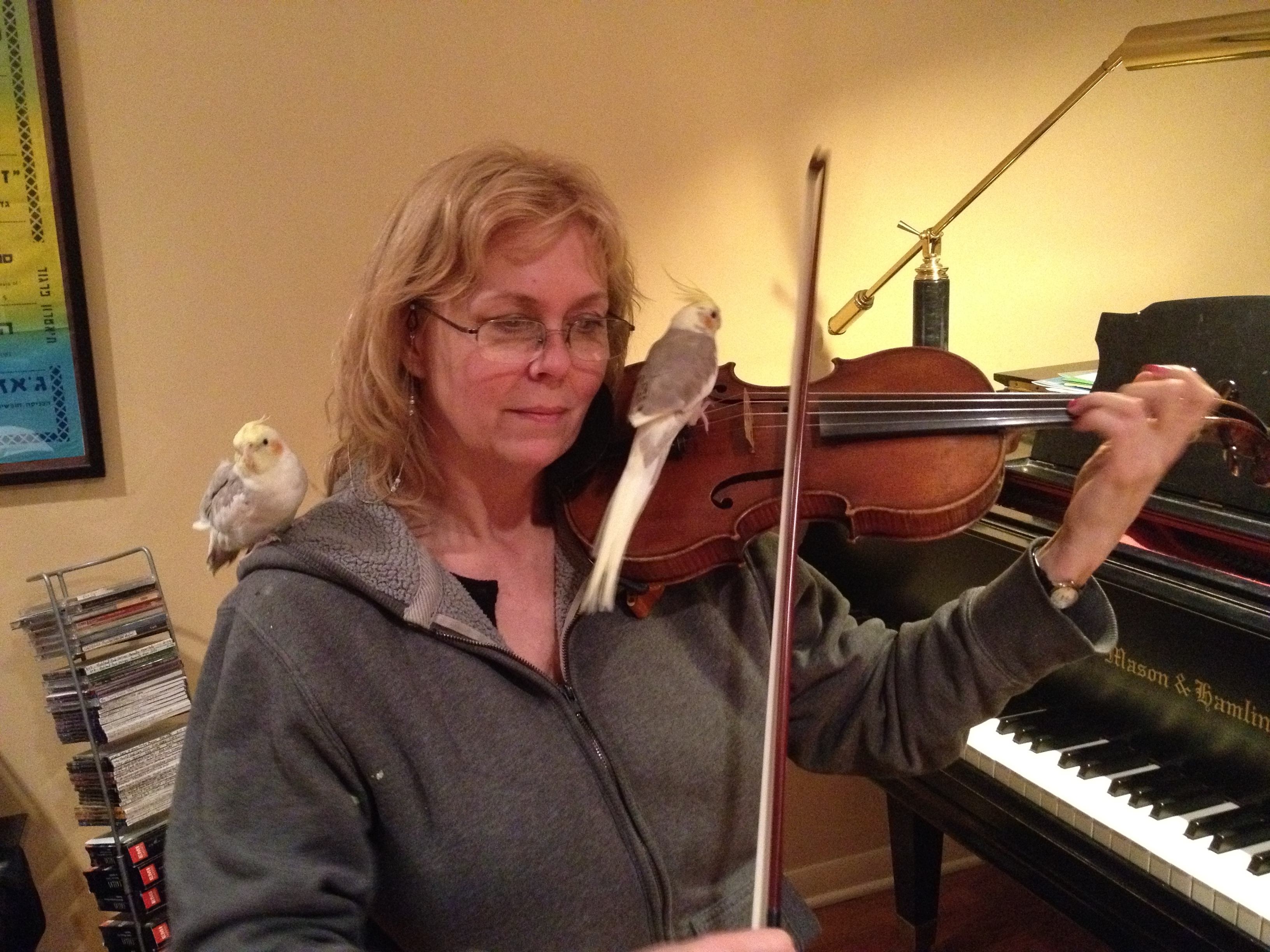 Music with birds